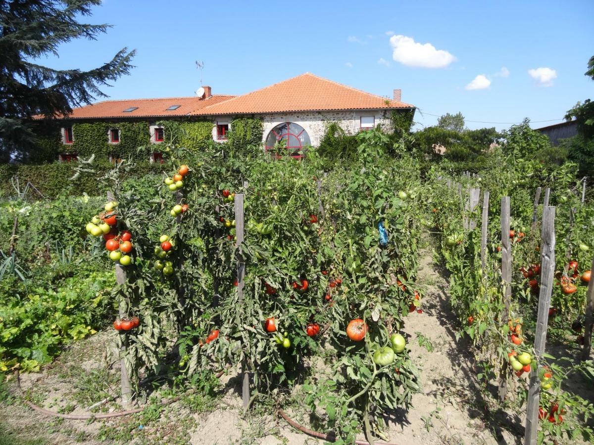 מלון Blanzac  La Ferme De Rouffignac מראה חיצוני תמונה